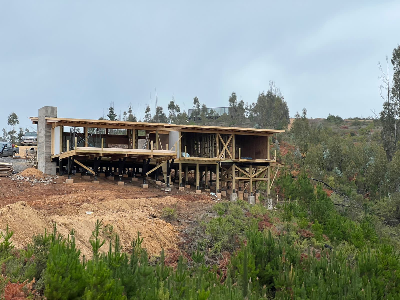 WhatsApp Image 2025-02-11 at 1.39.43 PM