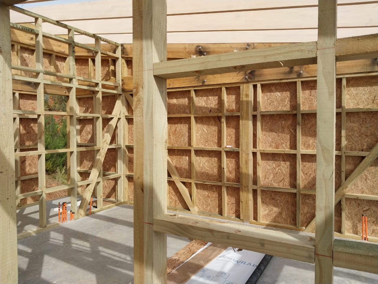 WhatsApp Image 2025-02-14 at 11.33.02 AM (1)