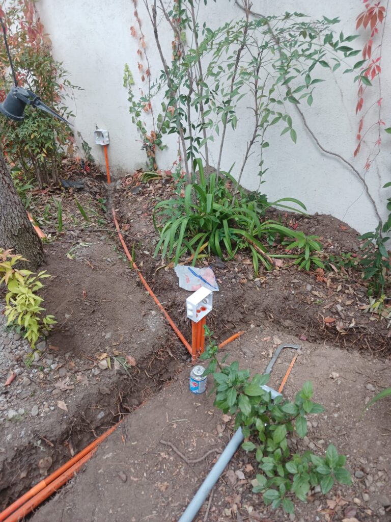 WhatsApp Image 2025-06-12 at 1.34.49 PM (5)