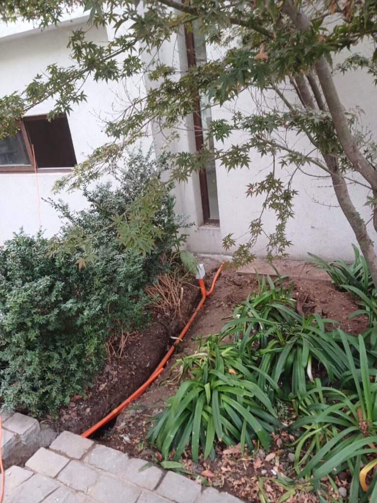 WhatsApp Image 2025-06-12 at 1.34.50 PM (1)